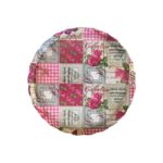 دیس کیک خوری آرکومین